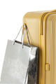 MAXIVO SPINNER 79/29 TSA  hi-res | American Tourister