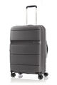LINEX SPINNER 66/24 TSA  hi-res | American Tourister
